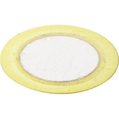 Round yellow cheese slice with a white centre on a light background.
