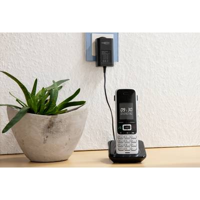 A cordless desk telephone sits on a wooden shelf next to a green potted plant, with the telephone being charged.