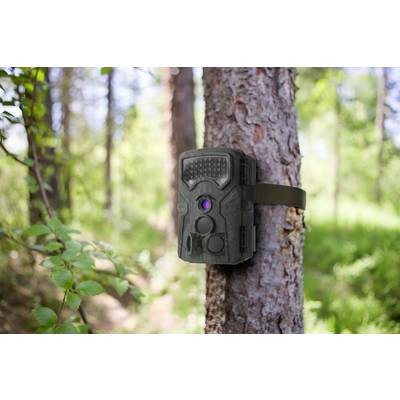 Renkforce RF-HC-550 Wildlife camera 48 MP Low-glow LEDs Green-6