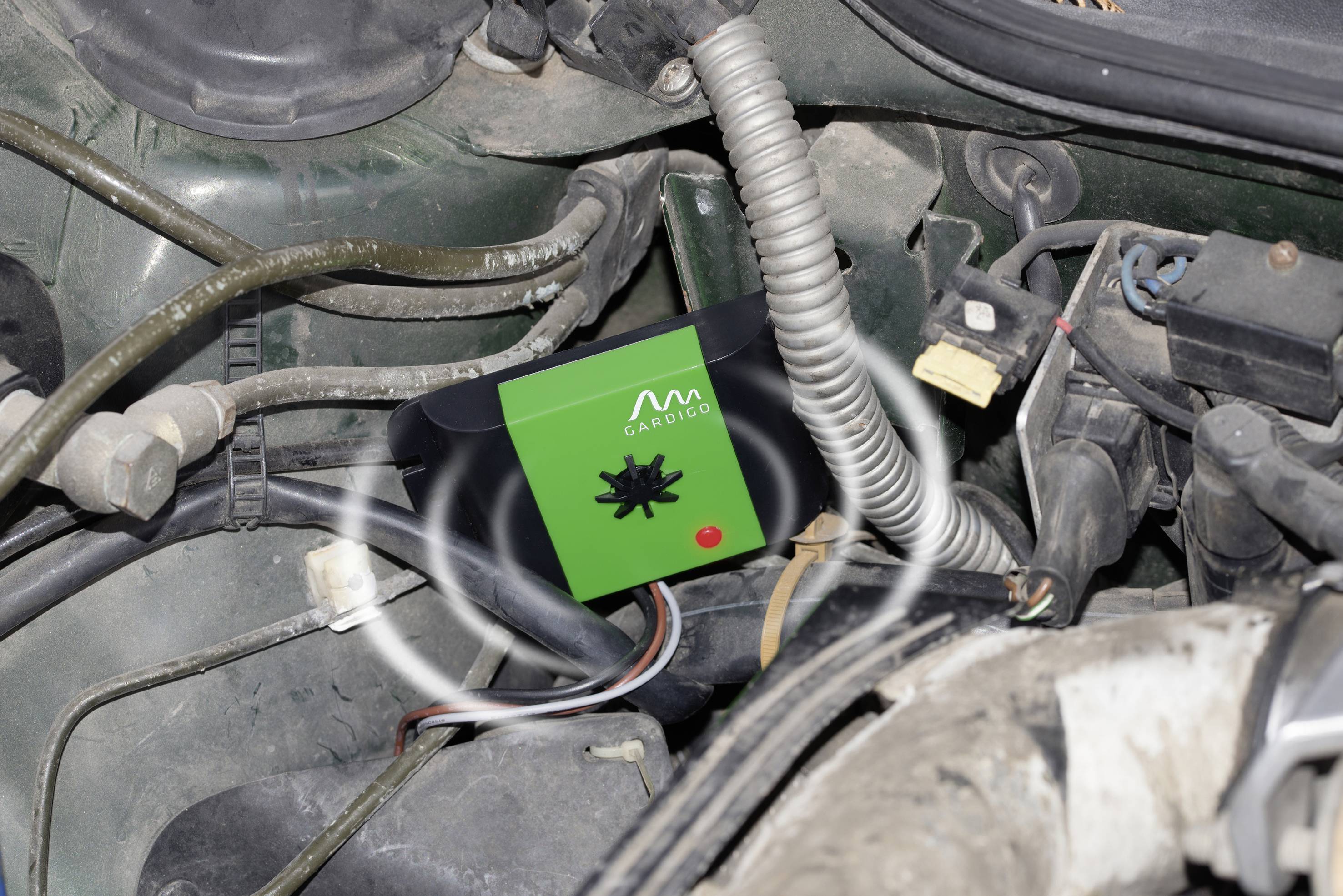 Device with a green display, mounted under the car's bonnet. Cables and pipes are visible all around.