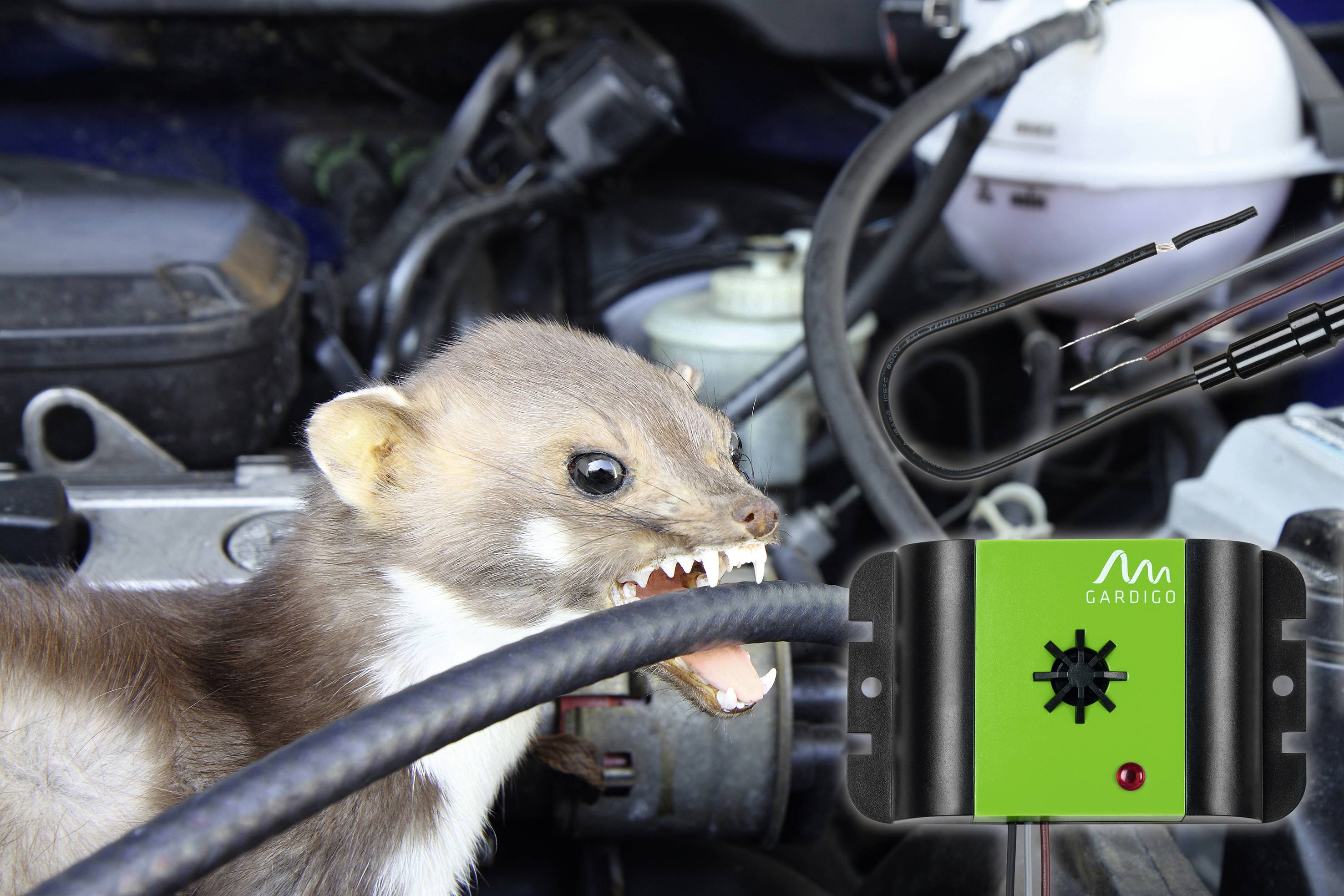 A pine marten bites into a cable in a car's engine compartment. An electronic deterrent device is visible in the foreground.