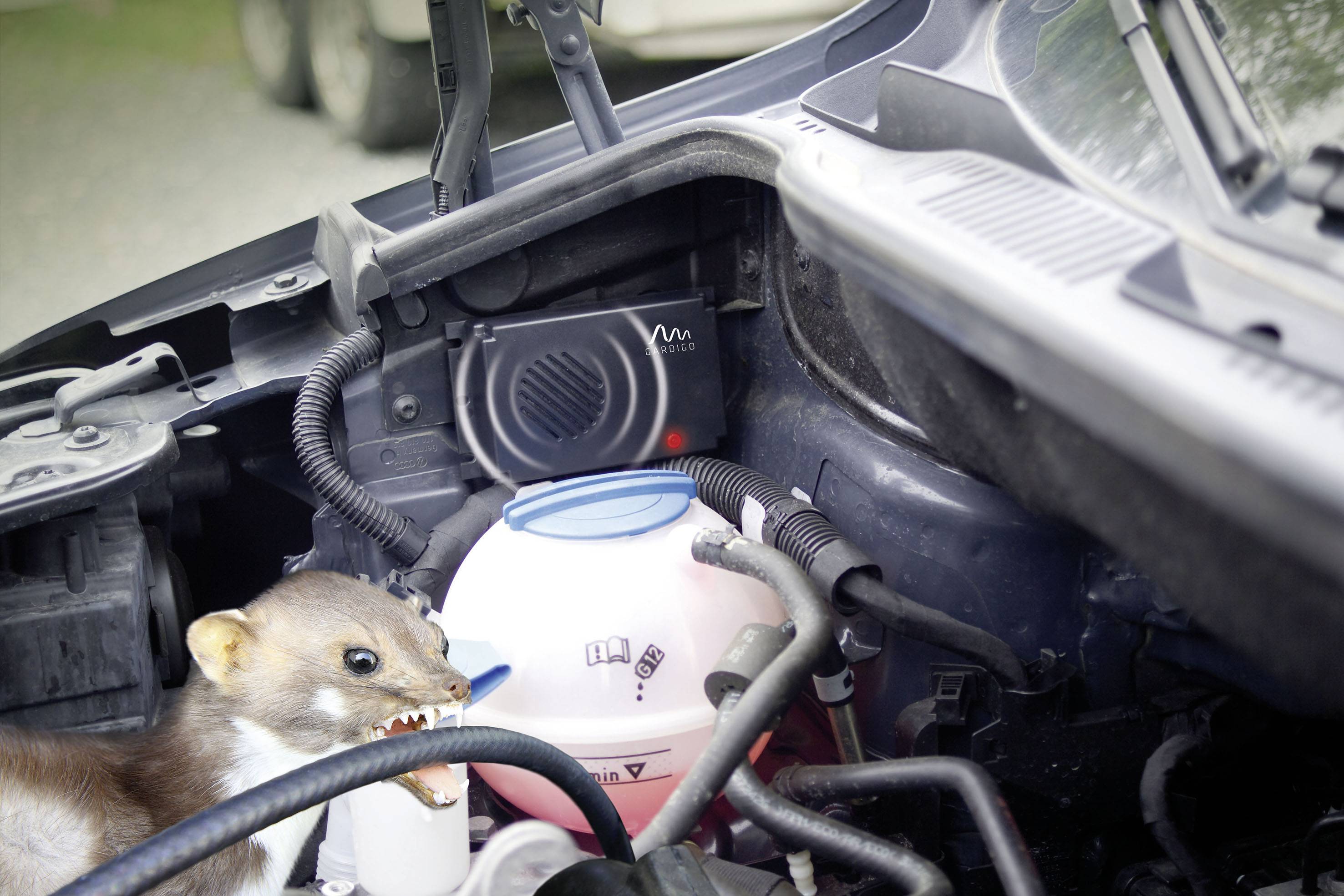 Gardigo Marder-Frei-Mobil Car animal repeller Working principle Ultrasound Operating range 40 m² 1 pc(s)-3