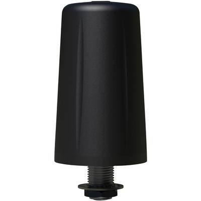 Wittenberg Antennen WB 66 - 05 Car mount antenna, Fixed antenna GSM, UMTS, LTE-0