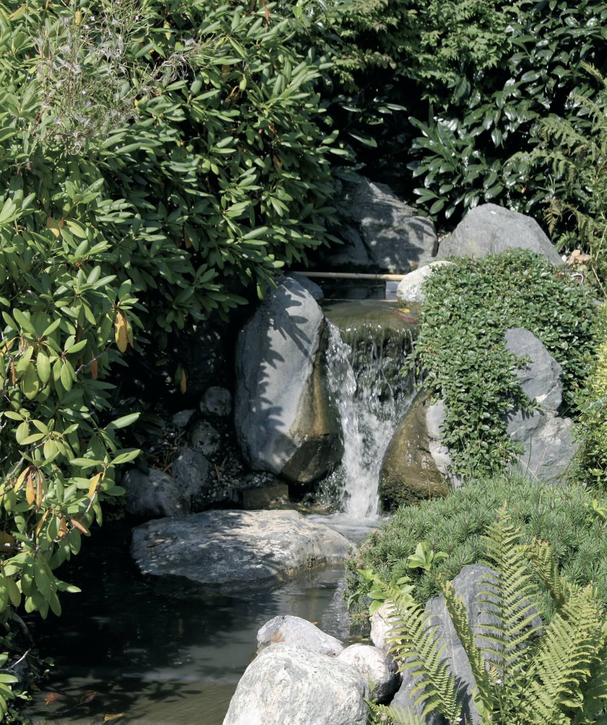 Waterfall in a verdant garden, surrounded by boulders, ferns and dense bushes, cascading into a small pond.