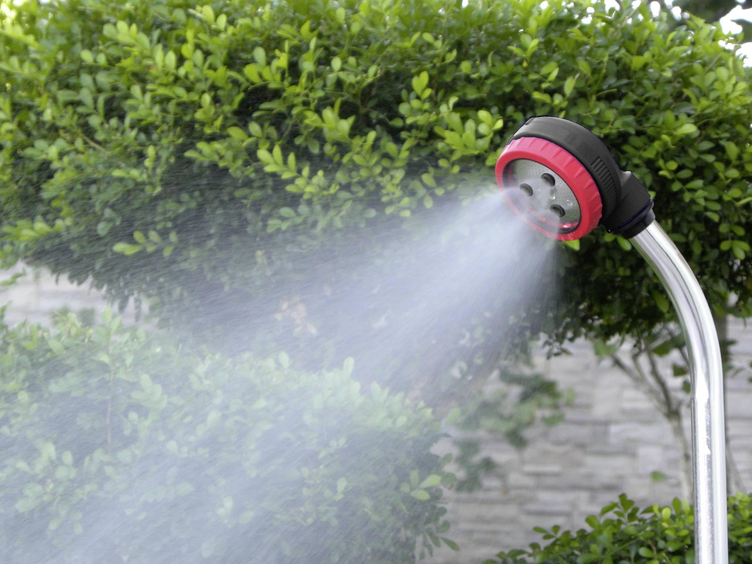 A garden hose is spraying water in a fine mist onto green shrubs. The background is a grey stone wall.