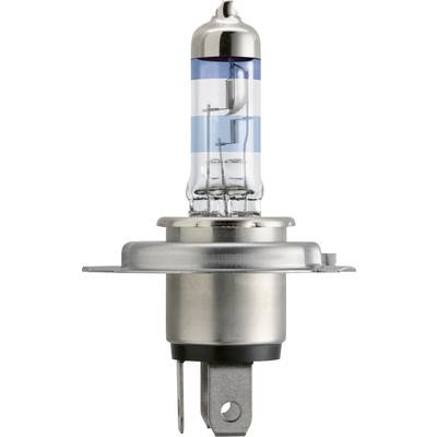 Halogen Headlight Bulb - Review (H4, 12v, 60/55W) 