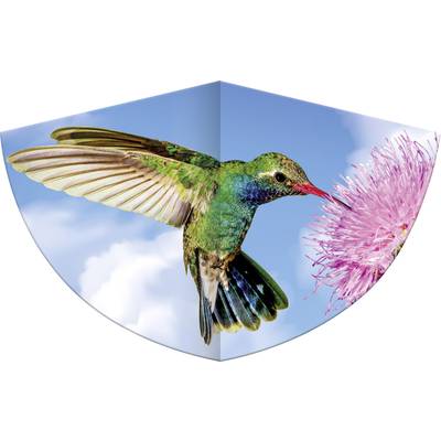 Image of Guenther Flugspiele Single line Kite HUMMINGBIRD Wingspan (details) 750 mm Wind speed range 3 - 6 bft