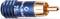 A blue and gold RCA plug with '75 Ω' inscription, photographed from the side, shows connection details.