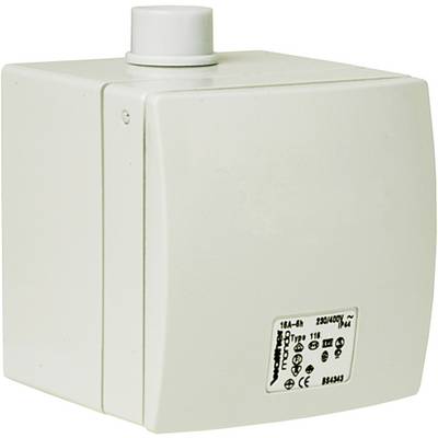A rectangular, white plastic switch with a button on top. A label with technical details and symbols is located on the front.
