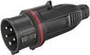 Walther Werke FW210506CC FW210506CC CEE plug 16 A 5-pin 400 V 1 pc(s)