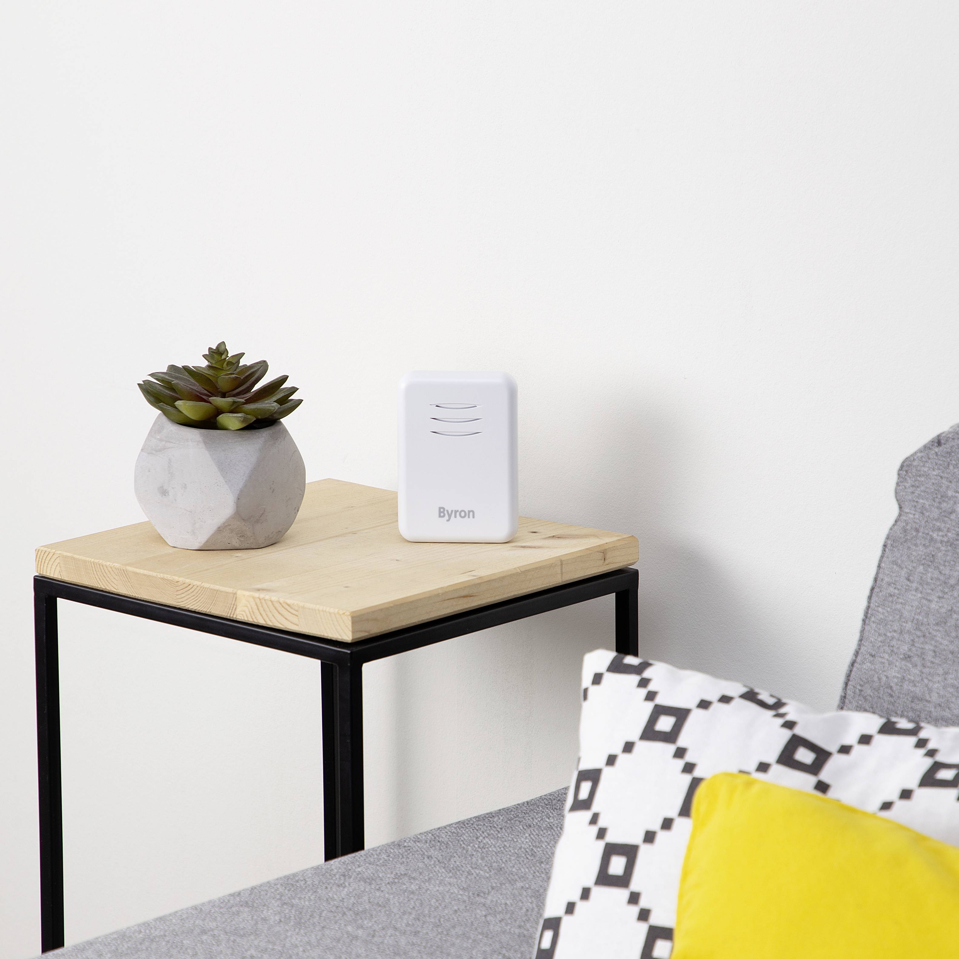 On a wooden table stands a white, rectangular electronic device with the inscription 'Byron' next to a small plant in a pot.