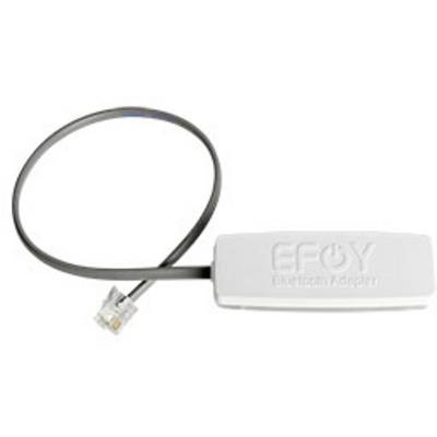 Small white device with the inscription 'EFOY Bluetooth Adapter', connected by a short cable with an RJ45 plug.