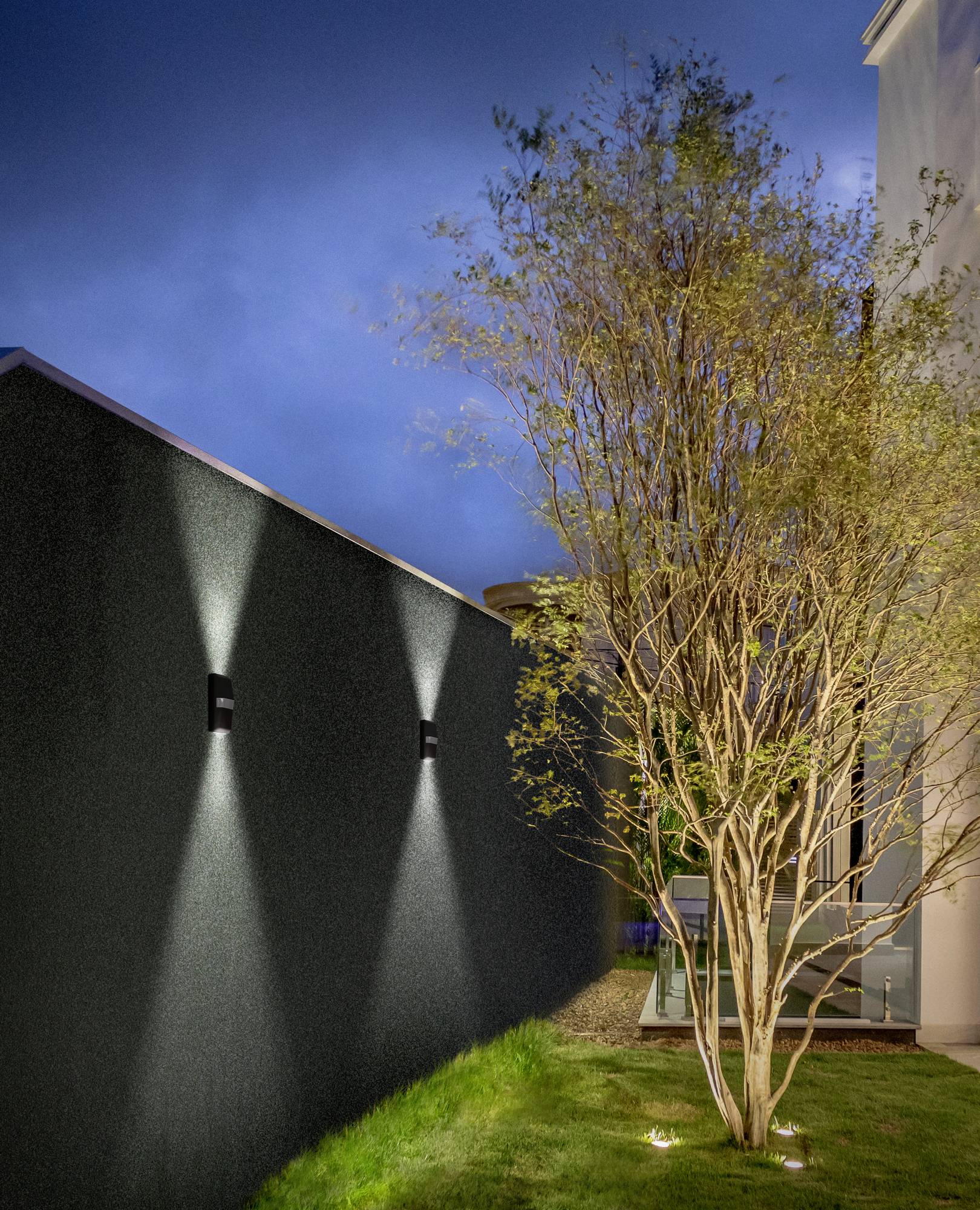 Rear view of a modern garden at night with atmospheric wall lighting and a tree on the right side of the image.