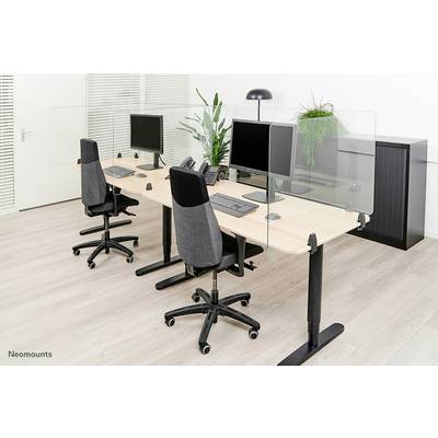 A modern office with two desks, computers, ergonomic chairs and partition walls. Plants between the desks.