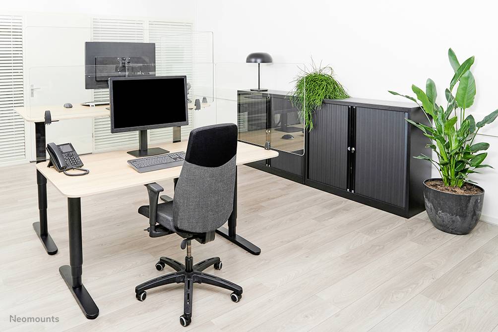 A modern office with two height-adjustable desks, chairs, computers, telephone, plants, and cupboards. Bright, minimalist design.