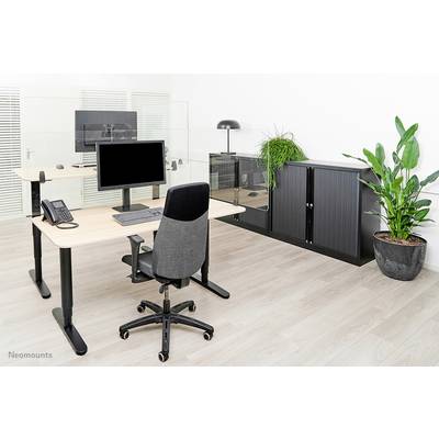 A modern office with two height-adjustable desks, chairs, computers, telephone, plants, and cupboards. Bright, minimalist design.