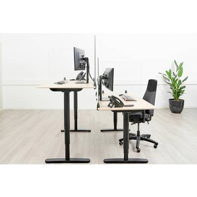 Two desks in an office with a partition between them, one with an adjustable-height desk, plants in the background.