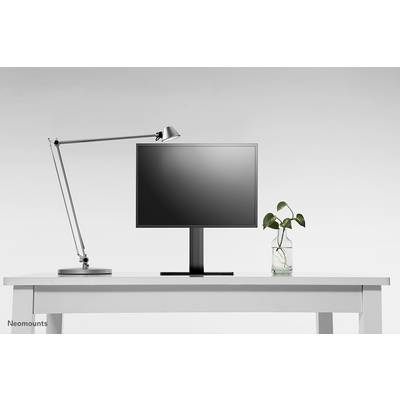 A desk with a computer screen in the centre, a modern desk lamp on the left and a plant in a glass container on the right.
