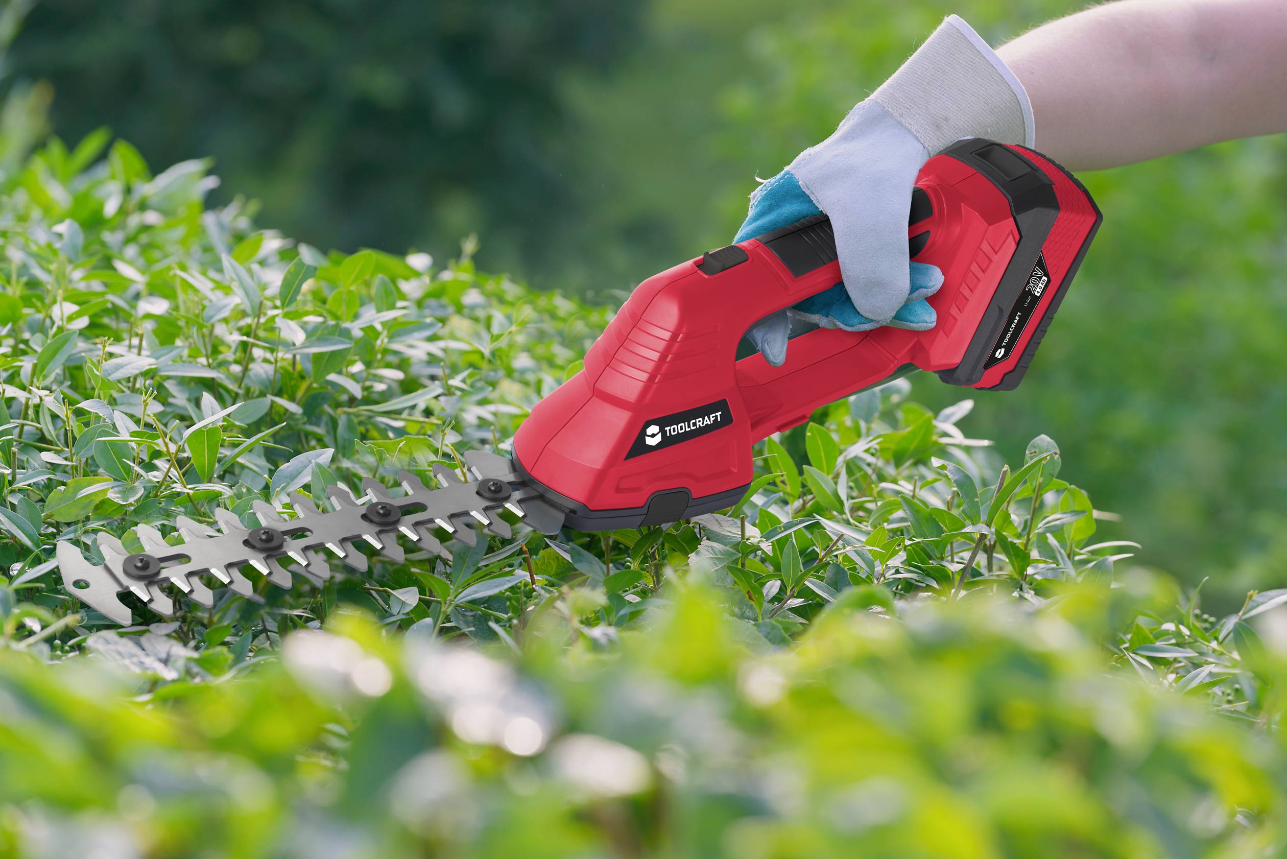 A person is trimming a hedge with a red hedge trimmer. They are wearing blue gloves. Green foliage is visible in the background.