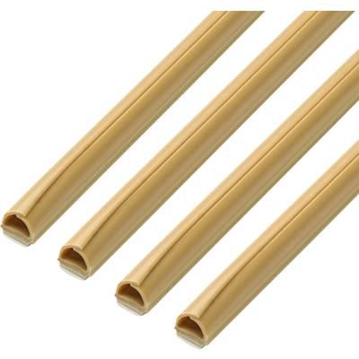Four beige, hollow spaghetti pasta tubes, aligned side by side, on a white background.