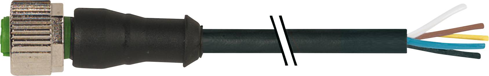 Black cable with metal plug. The cable sheath is partially removed, revealing five differently coloured wires.