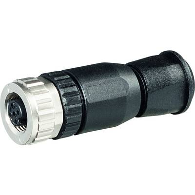 Murrelektronik 7000-12931-0000000 Sensor/actuator connector Socket, straight No. of pins (RJ): 5 1 pc(s)