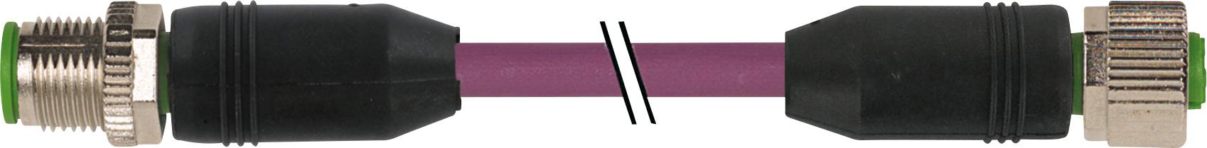 A M12 connector with cable, connecting two sections through a straight connection. Black housing with metal ring.