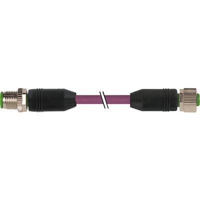 A M12 connector with cable, connecting two sections through a straight connection. Black housing with metal ring.