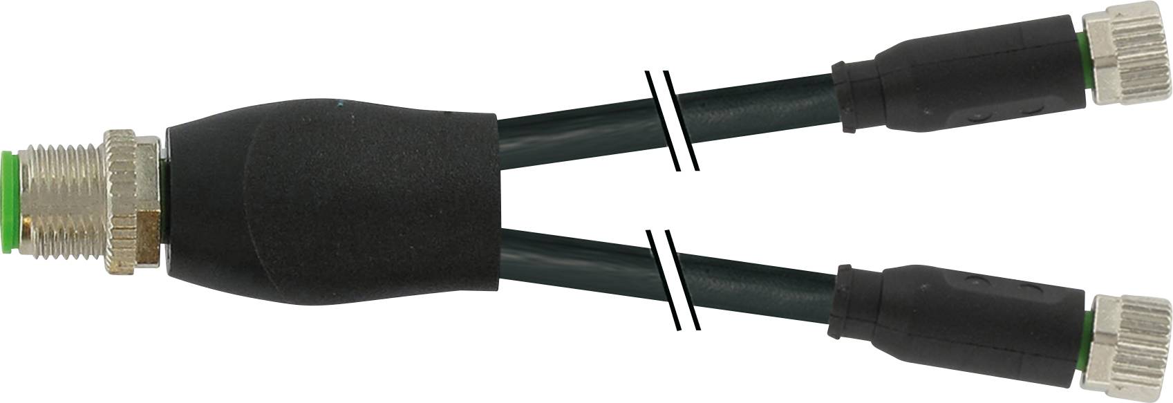 Y-cable with a single male and two female connectors, used for connecting electrical devices.