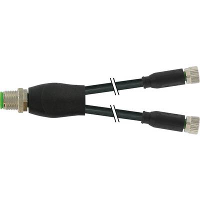 Y-cable with a single male and two female connectors, used for connecting electrical devices.