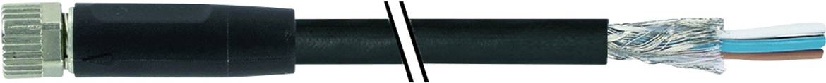 'Cross-section of a coaxial cable with plug, black insulation and exposed conductors at the other end.'