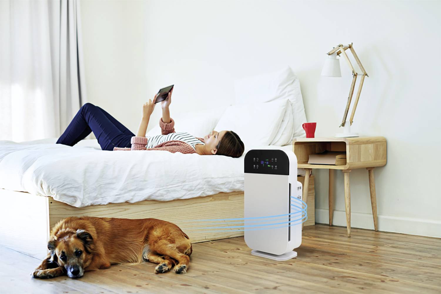A woman is lying on the bed reading, while a dog rests on the wooden floor. An air purifier stands next to the bed.