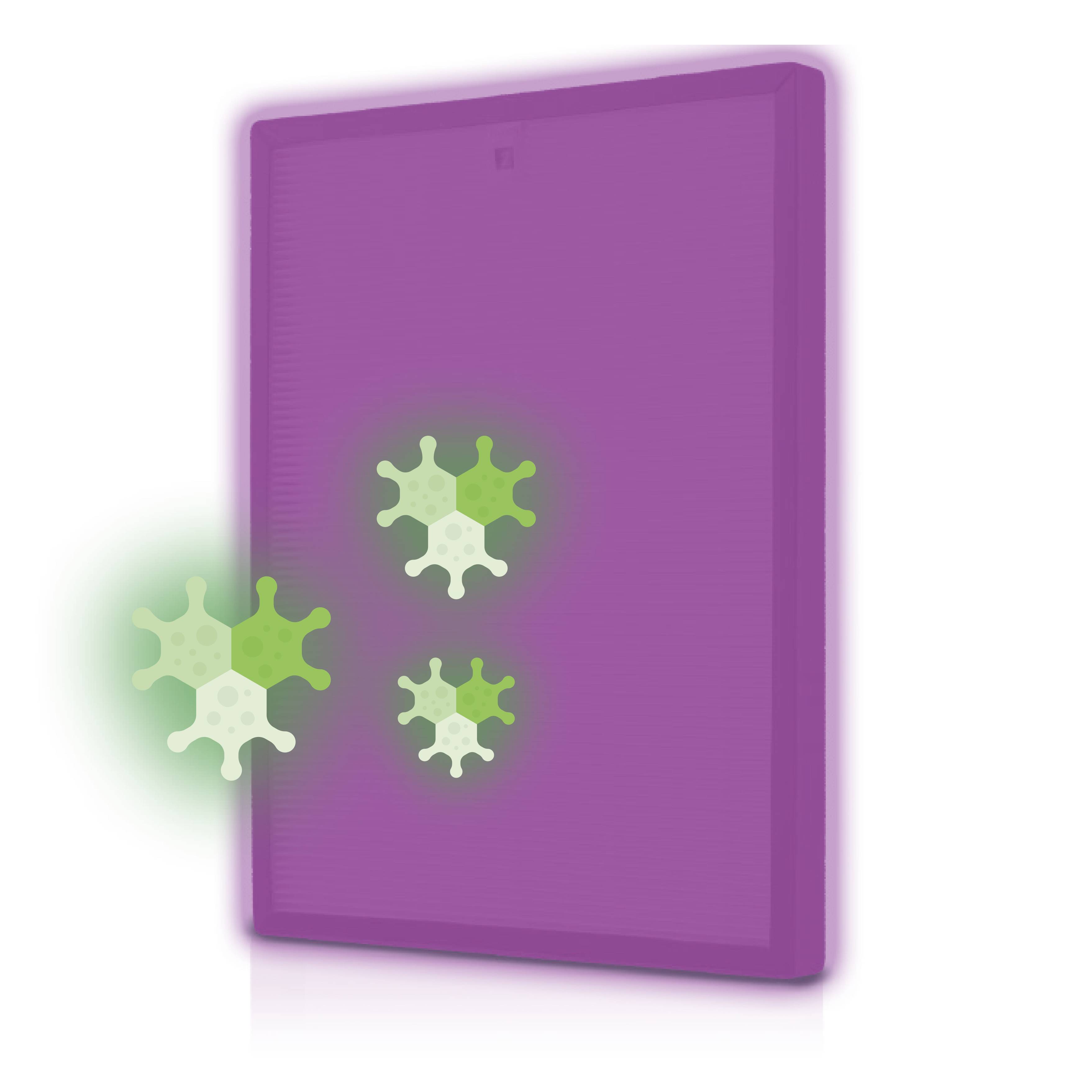 A purple rectangular block with two green bacteria symbols on the left side, suggesting protection or hygiene.