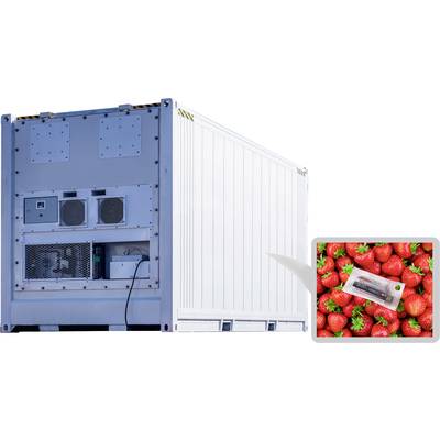 A white refrigerated container with an open rear section and technical equipment. Next to it, an image of fresh strawberries in packaging.