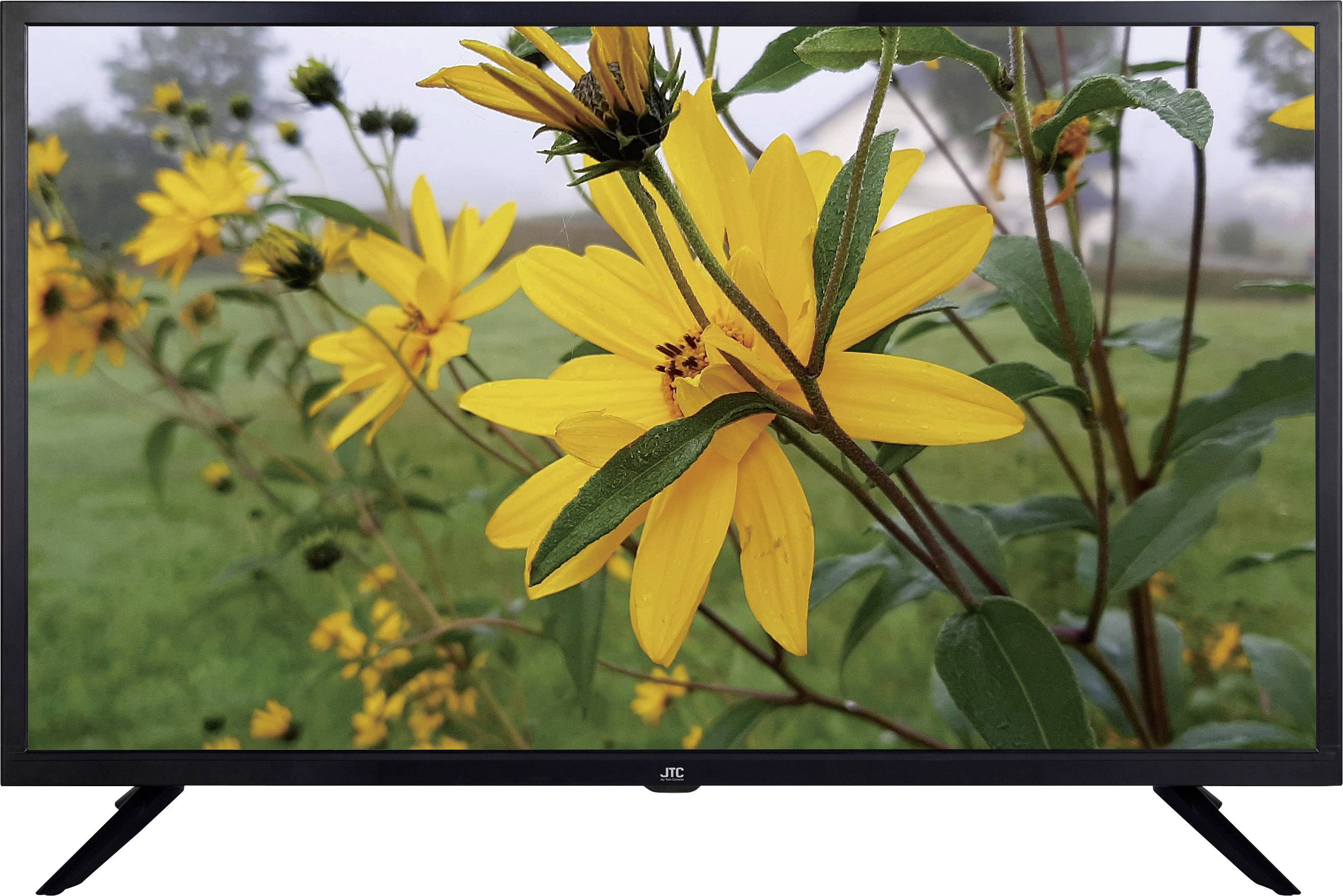 JTC 32H3166M LED TV 80 cm 32 inch EEC A+ (A+++ - D) DVB-T2, DVB-C, DVB-S, HD ready, CI+ Black