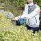 A person is trimming a hedge with a blue electric hedge trimmer in a garden. The person is wearing a white vest.