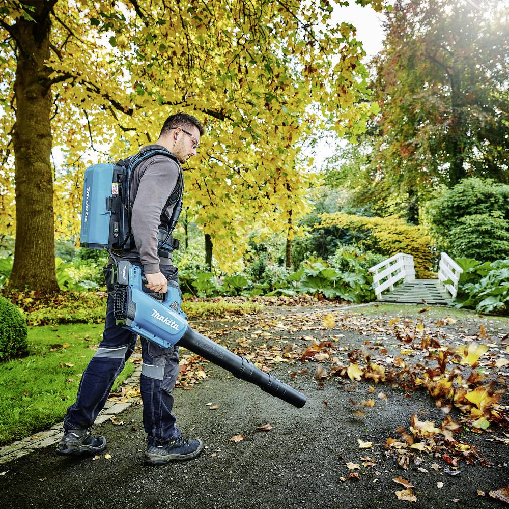 A person is using a leaf blower to clear autumn leaves from a path in a park. Green and autumnal-coloured trees are visible in the background.