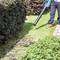 A person is clearing fallen leaves from the lawn using a leaf blower, surrounded by well-maintained hedges.