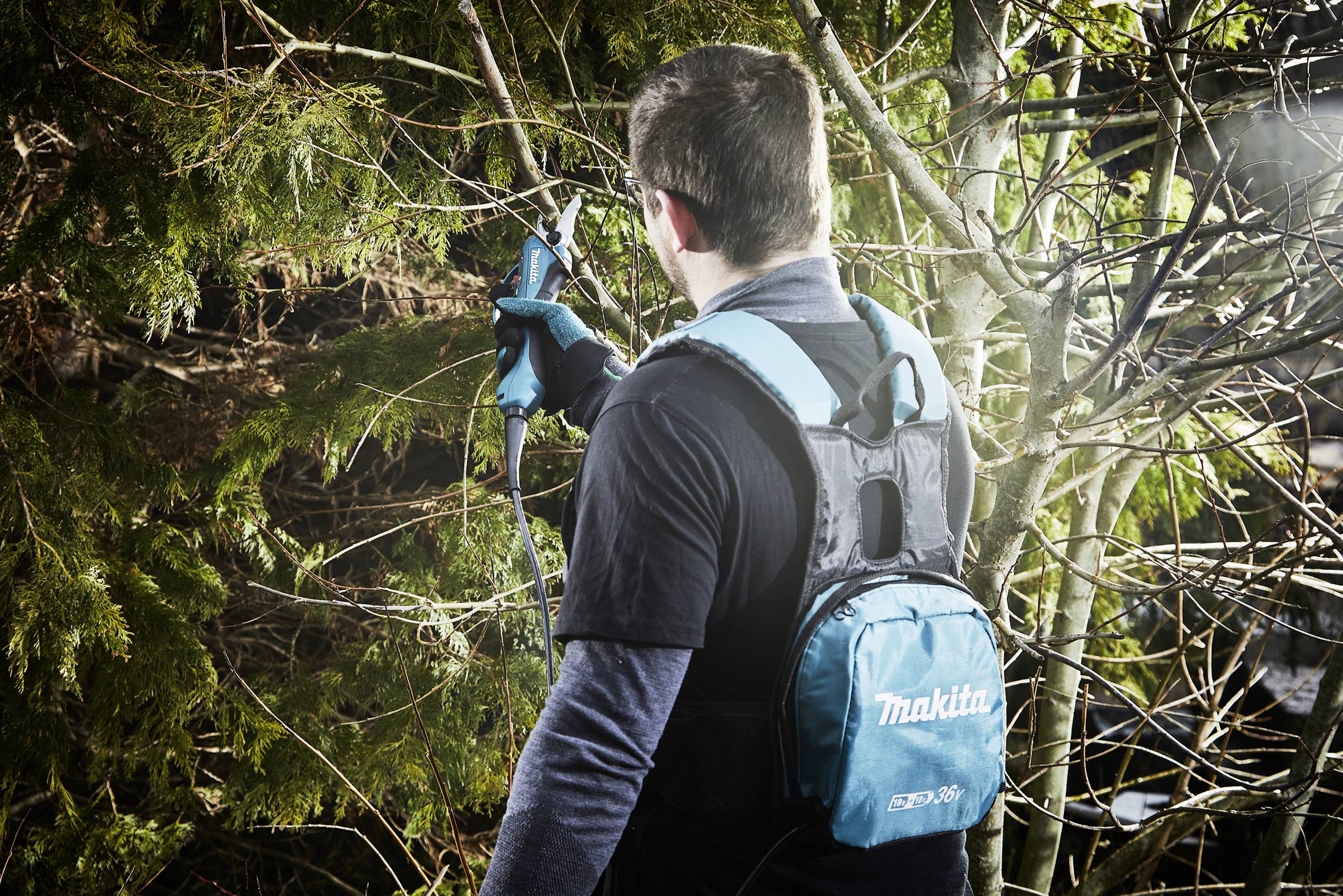 A person is cutting branches from a tree using a Makita electric pruning saw. They are wearing a battery pack on their back.