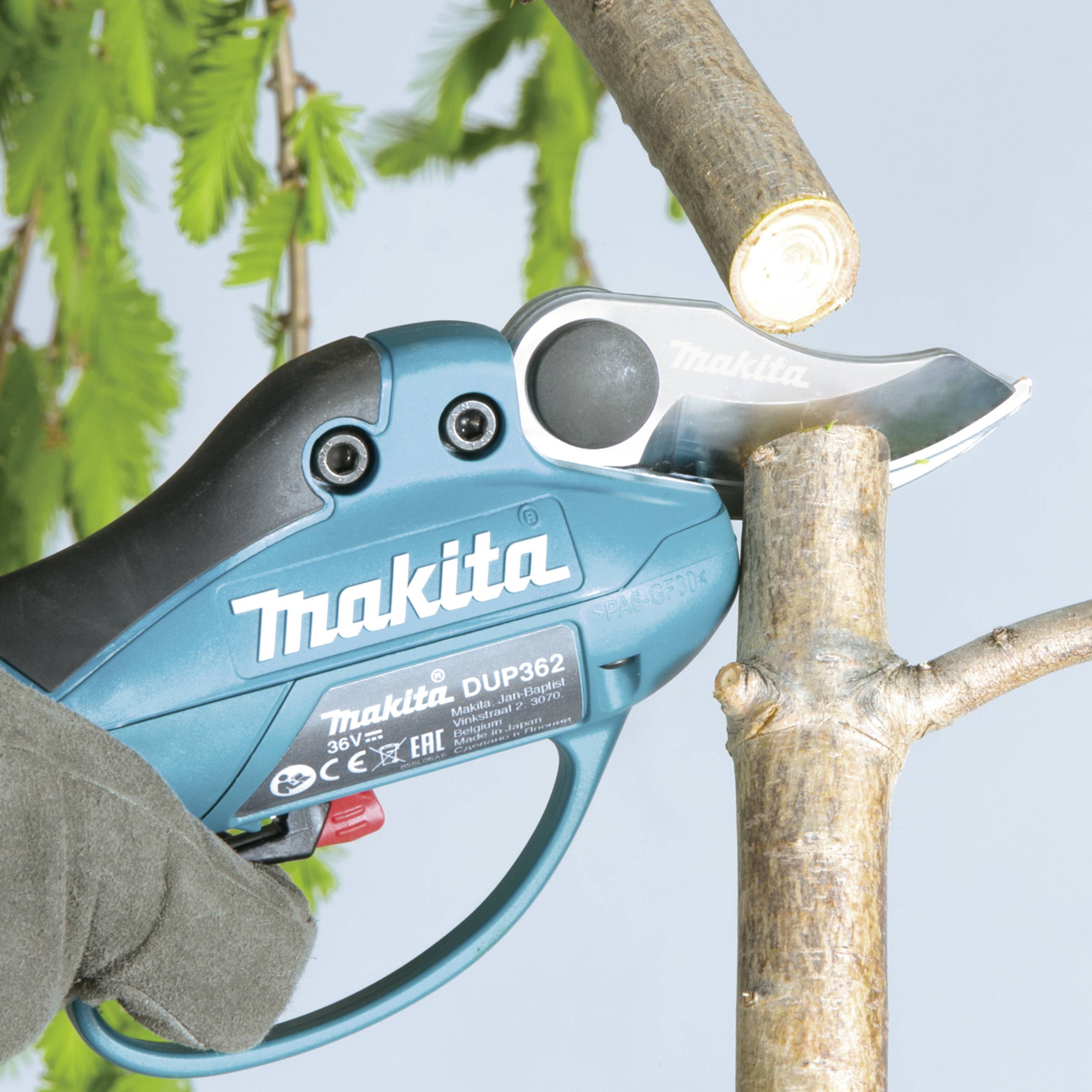 An electric tree pruner is cutting a branch. Green leaves are visible in the background. A hand is holding the pruner.