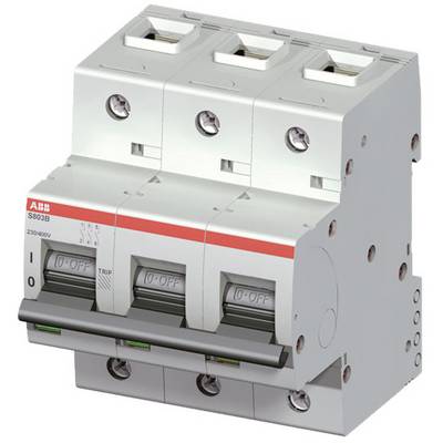 ABB 2CCS813001R0801 S803B-D80 Fuse 3-pin-0