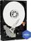 An open hard drive with visible platters and read/write arm, next to a blue badge labelled 'WD Blue'.