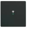 Busch-Jaeger 1x Cover Light symbol toggle free@home Black, Jet black (RAL 9005) 2CKA006220A0499