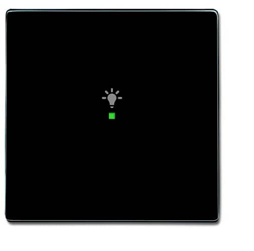 Busch-Jaeger 1x Cover Light symbol toggle free@home Anthracite, Black-grey 2CKA006220A0035 1 pc(s)