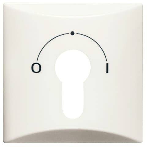 Busch-Jaeger Cover Key switch, Key sensor All-Weather 44 (IP44) Creamy white, Pure white (RAL 9010) 2CKA001710A2249