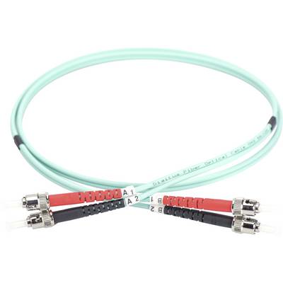Fibre optic cable with two connectors at each end, marked with 'A1', 'A2', 'B1', 'B2'. Mint green cable for data transmission.