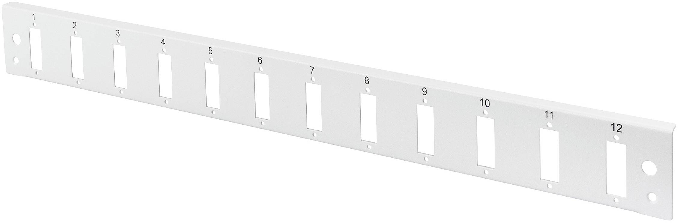 Empty patch panel with twelve numbered ports; intended arrangement of network connections in a server or network cabinet.