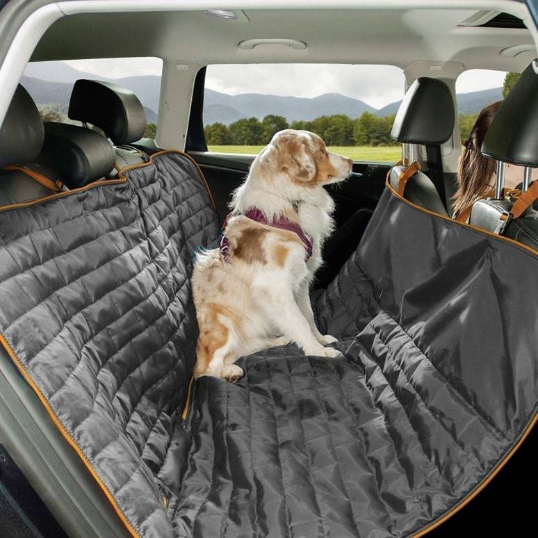 kurgo dog car seat
