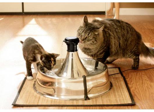 Petsafe #####Trinkbrunnen 360 Stainless steel 1 pc(s) D360SS-EU-45-4