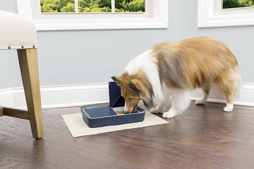 Petsafe Food dispenser 1 pc(s) PFD19-15770-1